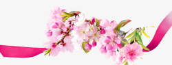 粉色飘带丝带花朵鲜花装饰素材