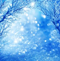 冻雨树挂与光斑高清图片