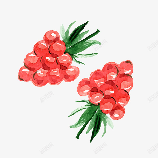 手绘红色树莓png免抠素材_新图网 https://ixintu.com 卡通食物 手绘 水果 红色树莓 背景装饰