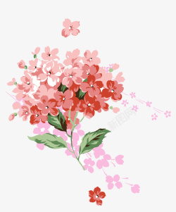 红色小清新花朵装饰图案素材