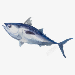 鱼类图形水彩鱼类高清图片