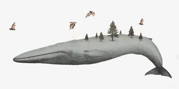 创意鲸鱼山峰卡通装饰png免抠素材_新图网 https://ixintu.com 卡通 山 素描鲸鱼 鲸鱼