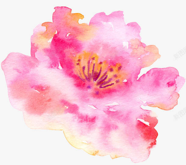 彩绘花朵png免抠素材_新图网 https://ixintu.com 彩绘画 植物 矢量装饰 粉色 花朵 装饰