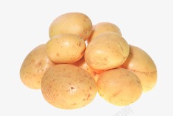 圆形土豆土豆图高清图片