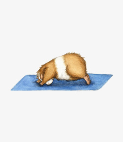 创意小豚鼠瑜伽插画素材