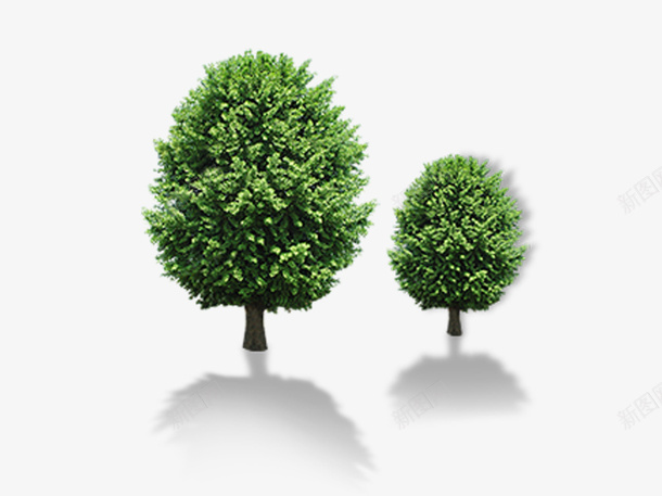 两颗小树png免抠素材_新图网 https://ixintu.com 树木 环保 绿色