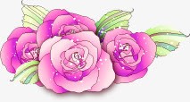 粉色水彩花朵美景手绘素材