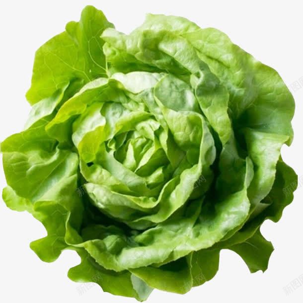 有机蔬菜正面png免抠素材_新图网 https://ixintu.com 产品实物 有机 正面 绿色 花朵状 蔬菜 餐饮