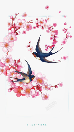 飞来春天飞来的燕子高清图片