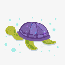 紫色的壳紫色壳的小乌龟高清图片