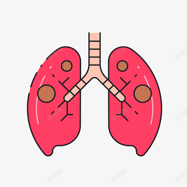 红色人体器官肺部png免抠素材_新图网 https://ixintu.com 人体器官 健康 卡通器官 红色器官 肺部 肺部图案 背景装饰