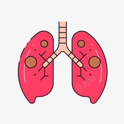 红色人体器官肺部素材
