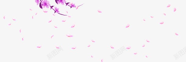 紫色花瓣飘零效果png免抠素材_新图网 https://ixintu.com 效果 紫色 花瓣 飘零