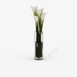 白色鲜花束盆栽白色透明花瓶鲜花束高清图片