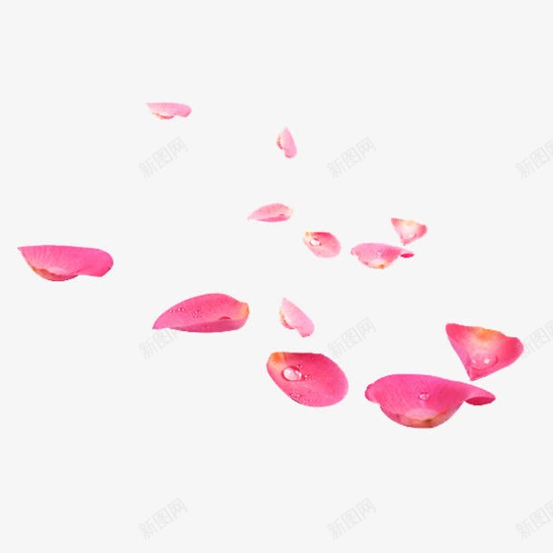 粉色花瓣png免抠素材_新图网 https://ixintu.com 粉色花瓣 花瓣 飘落的花瓣