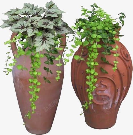 花瓶创意灌木植物png免抠素材_新图网 https://ixintu.com 创意 植物 灌木 花瓶