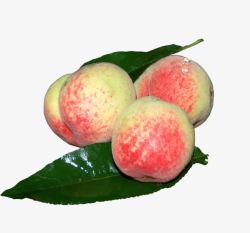 桃子水果素材