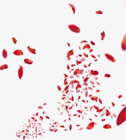 红色浪漫花瓣飘落素材