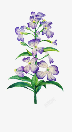 唯美手绘鲜花素材