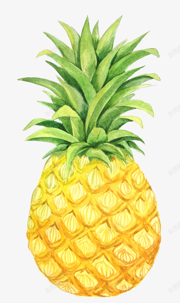 黄色手绘的菠萝png免抠素材_新图网 https://ixintu.com 卡通手绘 手绘菠萝 水果 菠萝 装饰图 食物 黄色菠萝