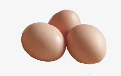 禽蛋类手绘鸡蛋高清图片