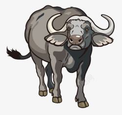 勐牛手绘猛牛动物高清图片