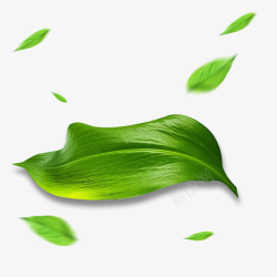 绿色的树叶3素材