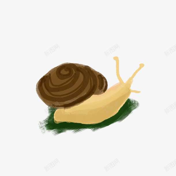 手绘卡通动物蜗牛png免抠素材_新图网 https://ixintu.com 动物 可爱蜗牛 小蜗牛 慢动作 爬行动物