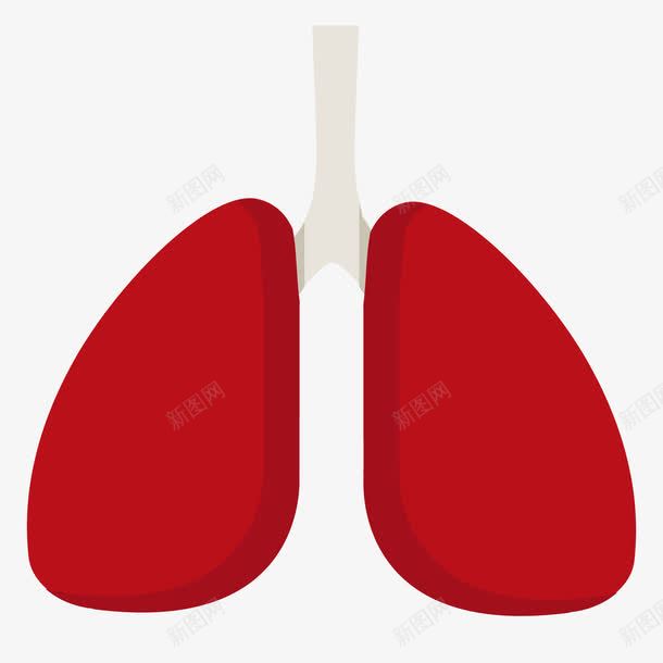 卡通人体肺部器官png免抠素材_新图网 https://ixintu.com 人体器官 卡通 肺部 肺部图案