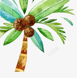 手绘水彩椰子树素材