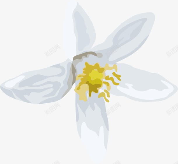 白色的花png免抠素材_新图网 https://ixintu.com png素材 植物 花 花朵