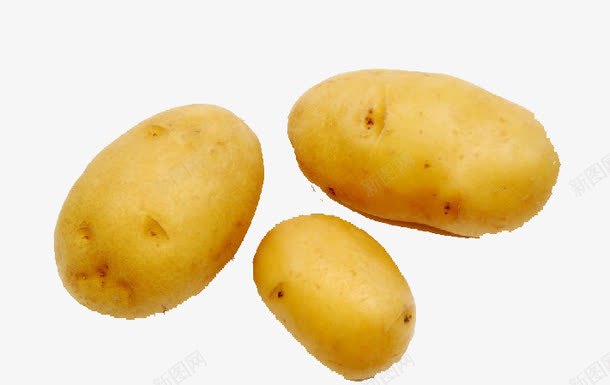 三个马铃薯png免抠素材_新图网 https://ixintu.com 好吃 新鲜 有营养 黄色 黄色马铃薯