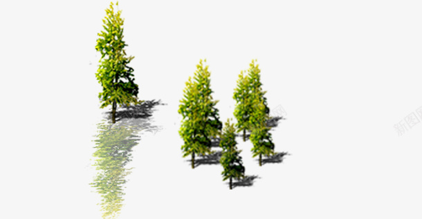 园林景观树png免抠素材_新图网 https://ixintu.com 园林景观 树木 行道树 造型树
