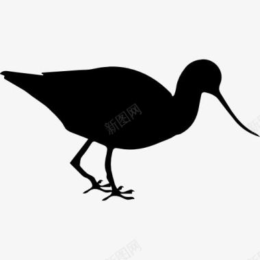 反嘴鹬鸟动物形状图标图标
