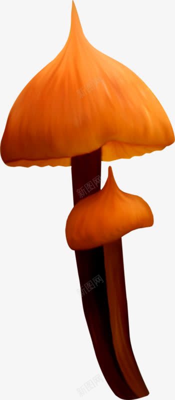 尖头蘑菇伞png免抠素材_新图网 https://ixintu.com 卡通蘑菇 尖头蘑菇 蘑菇 蘑菇伞