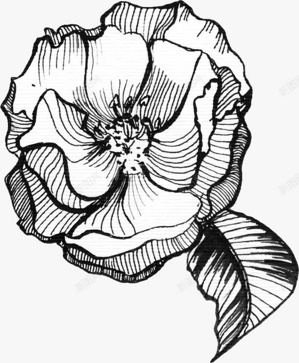 花朵叶子图标png_新图网 https://ixintu.com 一朵 卡通 叶子 手绘 简图 简笔 线条 花朵 黑色