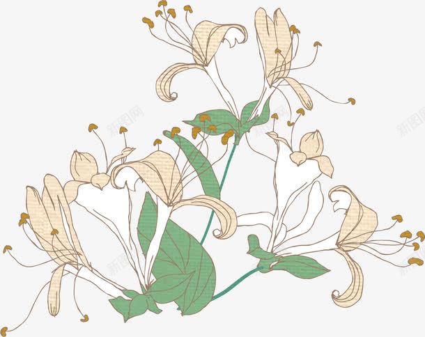 简约手绘艺术花朵植物png免抠素材_新图网 https://ixintu.com 植物 简约 艺术 花朵