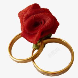 玫瑰花戒指素材