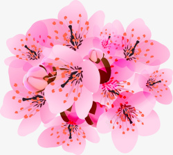 桃花矢量图素材
