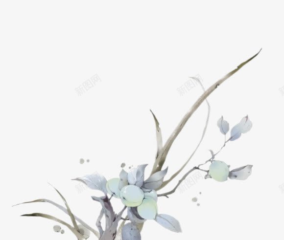 水彩白色花朵白色果实png免抠素材_新图网 https://ixintu.com 果实 水彩 白色 花朵
