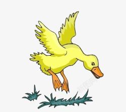 草地上的鸭子卡通手绘高清图片