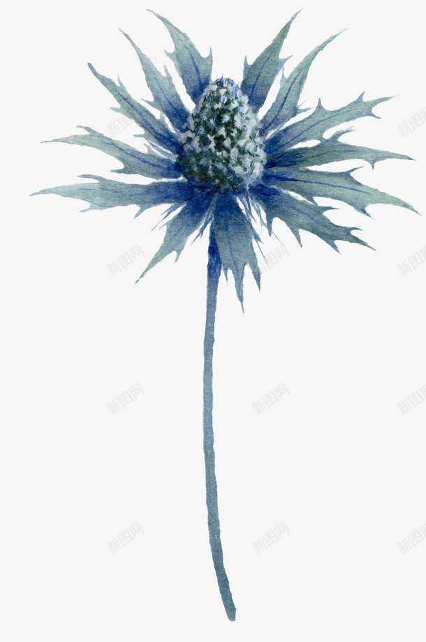 绿色手绘的植物png免抠素材_新图网 https://ixintu.com 叶子 手绘植物 植物 植物叶子 绿叶 绿植 绿色植物