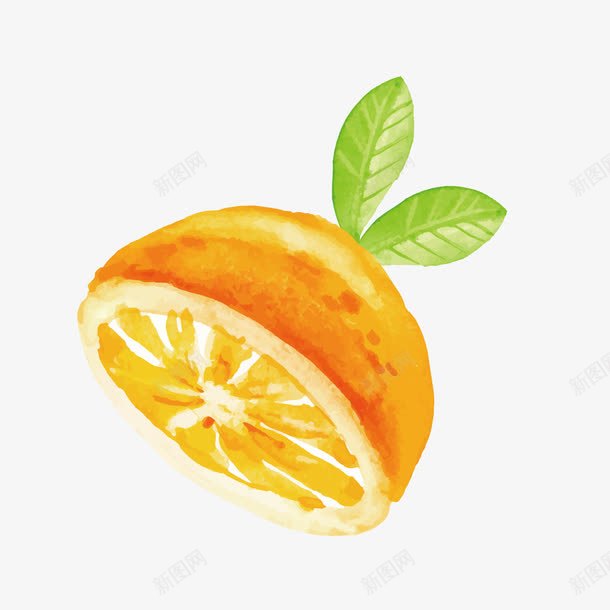 手绘切开的橙子png免抠素材_新图网 https://ixintu.com 切开的橙子 手绘水果 橙子 背景装饰 食物