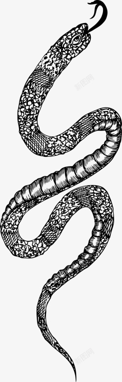 手绘花纹蛇矢量图素材