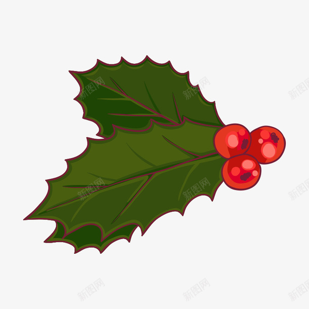 圣诞红果果和叶子png免抠素材_新图网 https://ixintu.com 叶子 圣诞树 圣诞节 手绘图 植物 红果果 绿植