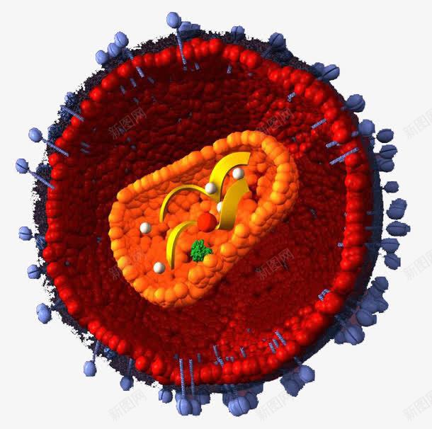 生物医学细胞图形png免抠素材_新图网 https://ixintu.com 医学 医学细胞 生物 研究 科研 红色