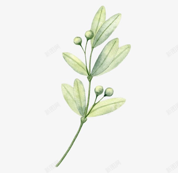 手绘绿色小花朵png免抠素材_新图网 https://ixintu.com 一枝花 七叶 手绘 花朵绿色