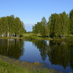 树湖水青绿水草水草丰美的地方高清图片