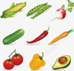 元素蔬菜与粗粮素材