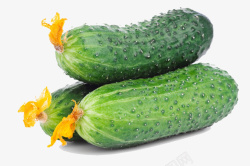 新鲜黄瓜标签新鲜的大黄瓜高清图片